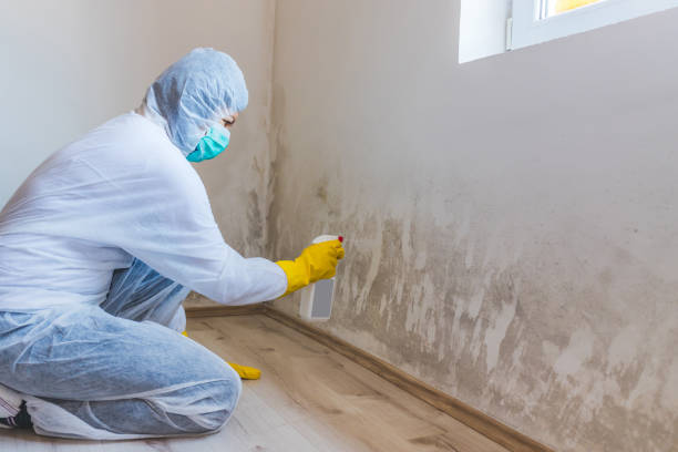 Licensed Mold Testing service in Newton, IL - WQB Mold Removal