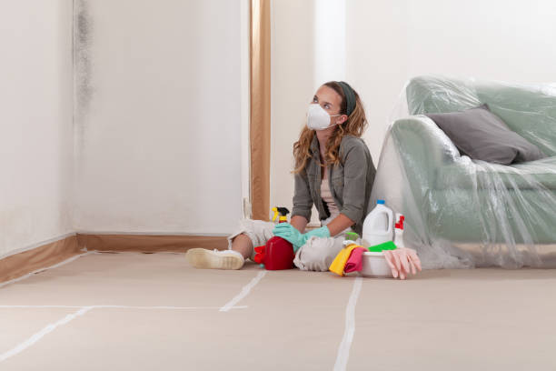 Reliable Mold Testing contractor in Newton, IL by WQB Mold Removal